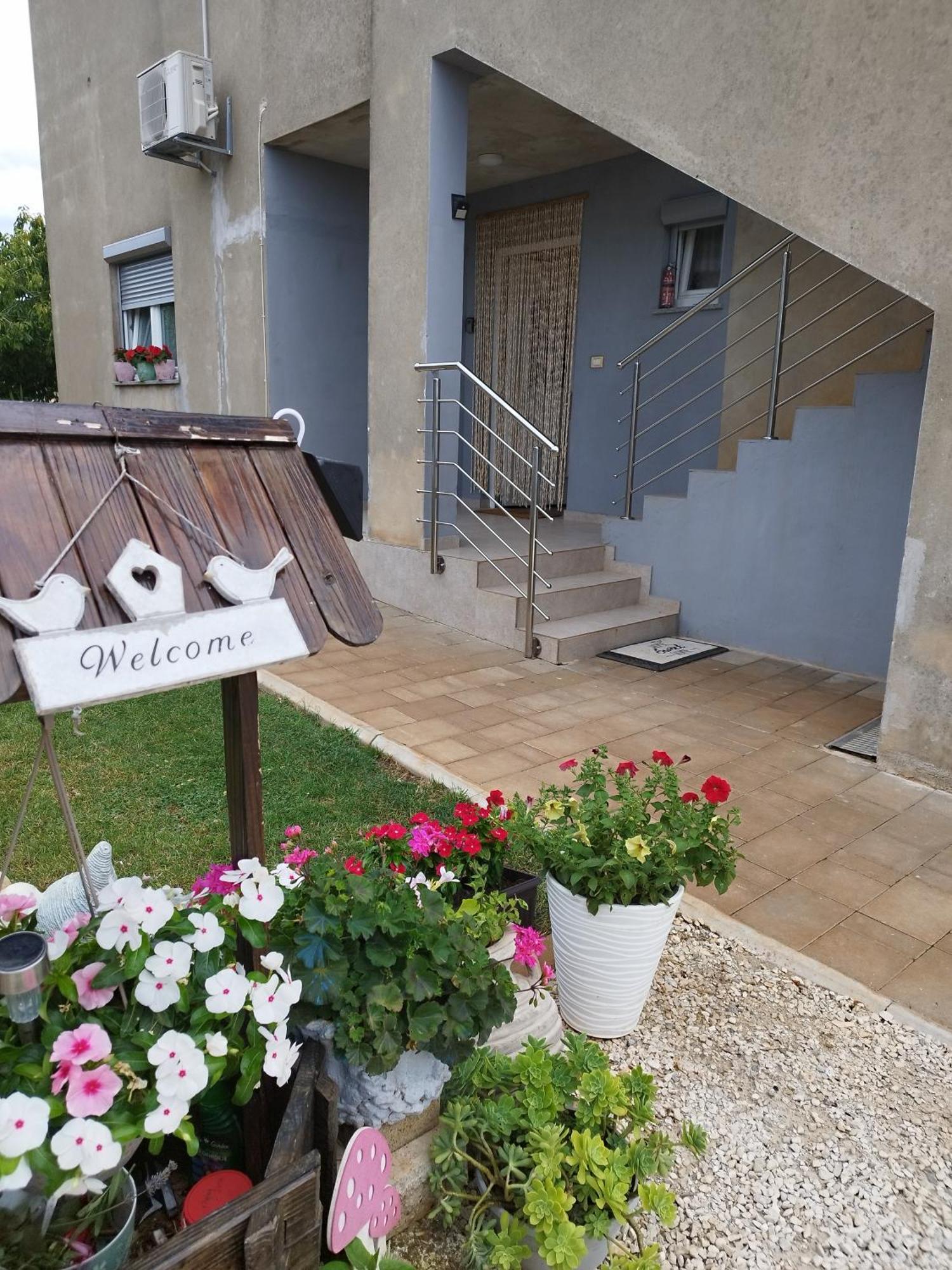 Apartmani Plavi Val 沃德年 外观 照片